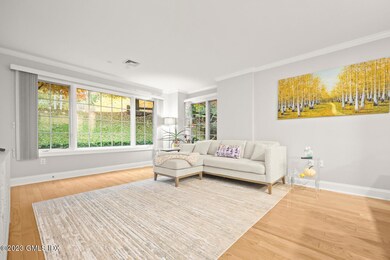 2 Homestead Ln unit 106, Greenwich, CT 06831 - photo 4