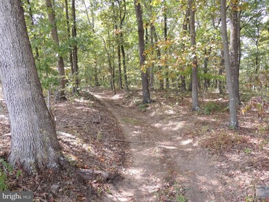 0 Hunting Ridge Rd unit VAFV153122, Winchester, VA 22603 - photo 4