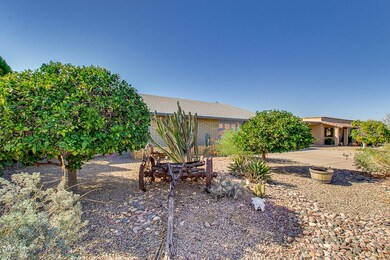 Low Maintenance Desert Landscaping