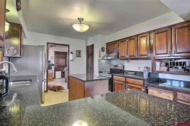21279 Spruce Ln, Cedaredge, CO 81413 - photo 6