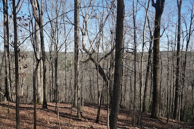 0 Alabama 187, Hodges, AL 35571 - photo 4