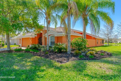 1312 Coconut Palm-3