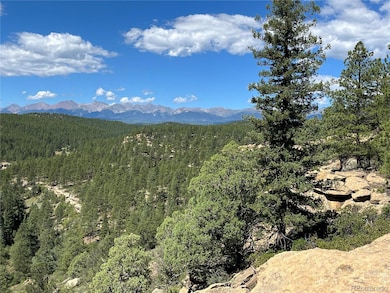 14200 County Rd 28 8, Weston, CO 81091 - photo 2