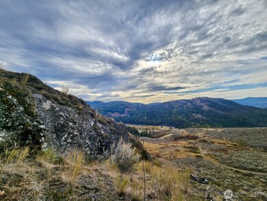 48 Oleander Rd, Republic, WA 99166 - photo 5