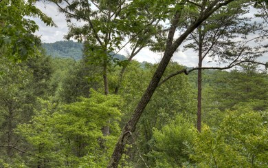 Additional View