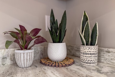 527 Northwest Rd, Canterbury, NH 03224 - photo 7