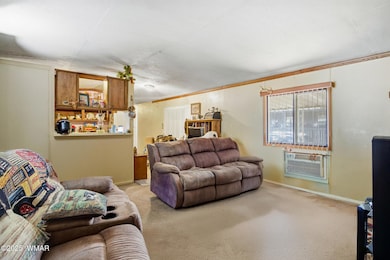 703 E Frontier St unit 31, Payson, AZ 85541 - photo 6