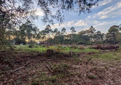 105 Wellington Dr, Fitzgerald, GA 31750 - photo 3