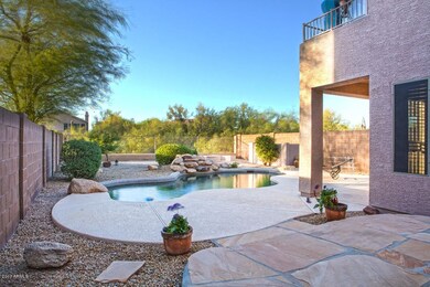 _backyard_1