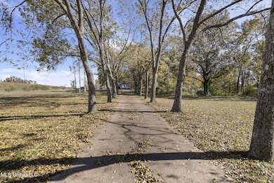 540 Douglas Rd, Hernando, MS 38632 - photo 4