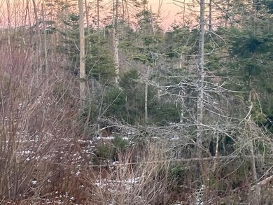 Jonesport land photo 3