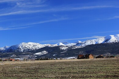 IMG_8692