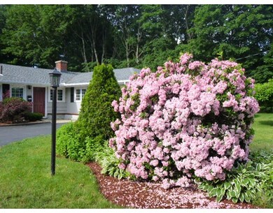 36 Griffin Rd, Framingham, MA 01701 - photo 2