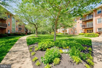 3336 Spring Ln unit A30, Baileys Crossroads, VA 22041 - photo 3