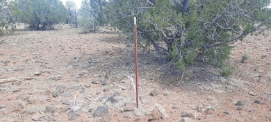 Xxxx Martinez, Williams, AZ 86046 - photo 6