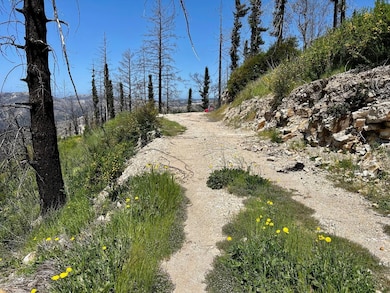 0 S Pine Mountain Rd unit ML82015283, Davenport, CA 95017 - photo 7