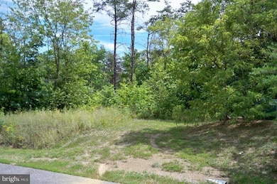 25 Weber Ln, Berkeley Springs, WV 25411 - photo 3