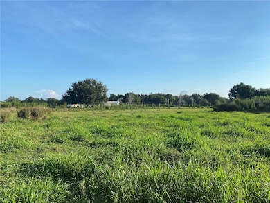 5187 Greenfields Run, Zolfo Springs, FL 33890 - photo 4