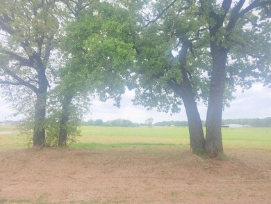 196 County Road 3340, Paradise, TX 76073 - photo 2