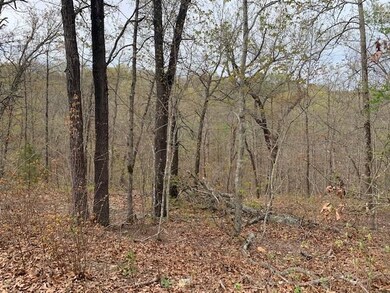 Lot 18 Chatburn Dr, Bella Vista, AR 72715 - photo 2