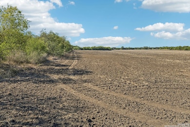11735 Obrien Rd, Atascosa, TX 78002 - photo 6