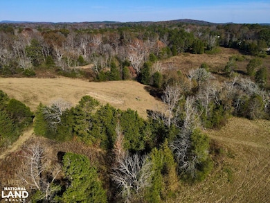 0001 Hwy 231, Vincent, AL 35178 - photo 2