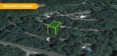 Crane Pr 4738, Jefferson, TX 75657 - photo 3