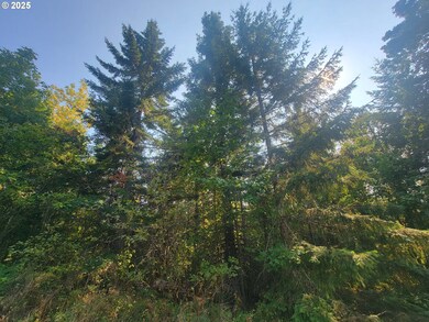 0 Finn Rd unit 591691188, Sheridan, OR 97378 - photo 5