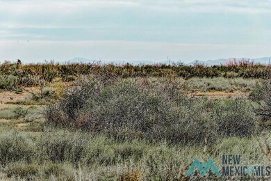 0 Siesta Rd SE unit 20235794, Deming, NM 88030 - photo 3