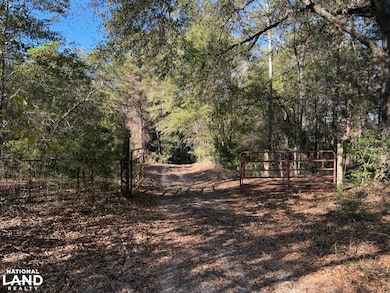 0 County Road 372, Elba, AL 36323 - photo 2