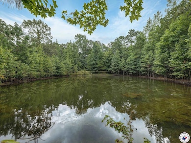 171 Mc 516, Fouke, AR 71837 - photo 2