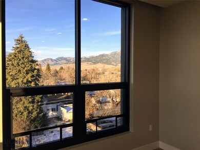 Bridger View from Living Room window. Windows thro