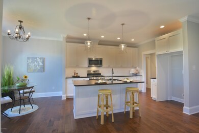 206 Shoreview Drive