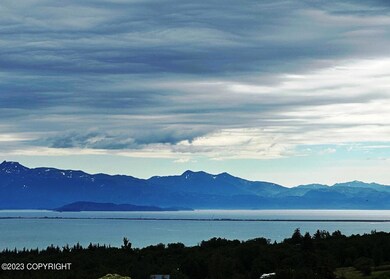 Homer Spit!!!