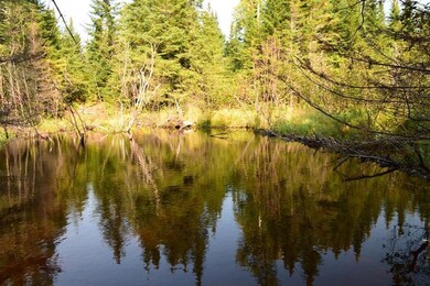 Deep pools with hungry trout