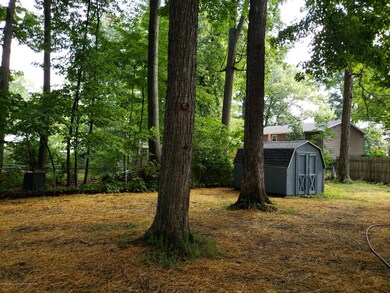 4 Backyard