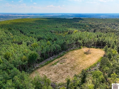 000 State Route 1433 unit Lookout Tower Ro, Salem, KY 42078 - photo 3