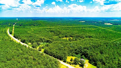 4444 Lagrange Hwy, Greenville, GA 30222 - photo 4