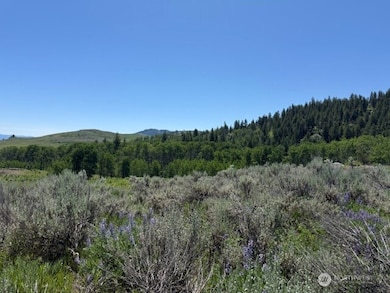 111 Tbd Ellemeham Ridge Rd, Oroville, WA 98844 - photo 6