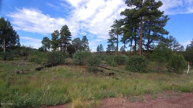 Tall Pines