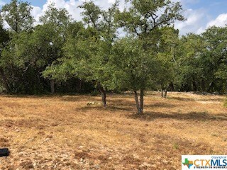 TBD Angelica Vista, Canyon Lake, TX 78133 - photo 3