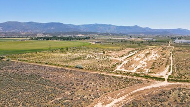 DJI_0232