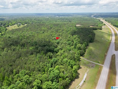 0 Highway 82 unit 1 21385129, Centreville, AL 35042 - photo 2