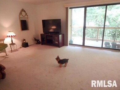 3620 38th St unit 5, Rock Island, IL 61201 - photo 3