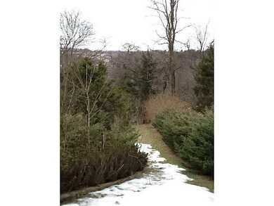 Yard/Garden. Private back yard