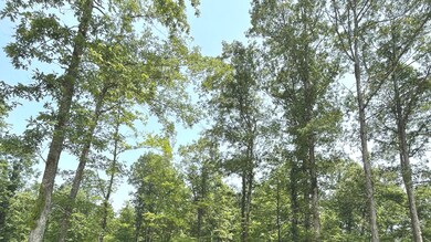 4000 N Block Co Rd 325 Rd, Brownstown, IN 47220 - photo 4