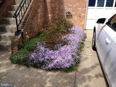 2008 Pieris Ct, Vienna, VA 22182 - photo 3