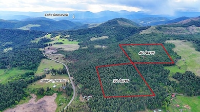 25XX Burgess Rd unit Parcel A, Addy, WA 99101 - photo 4