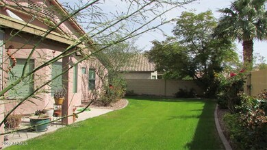 5 backyard