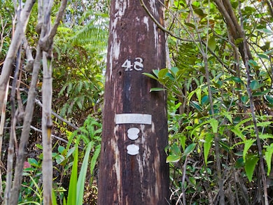 0 Omeka Rd unit 725488, Volcano, HI 96785 - photo 6